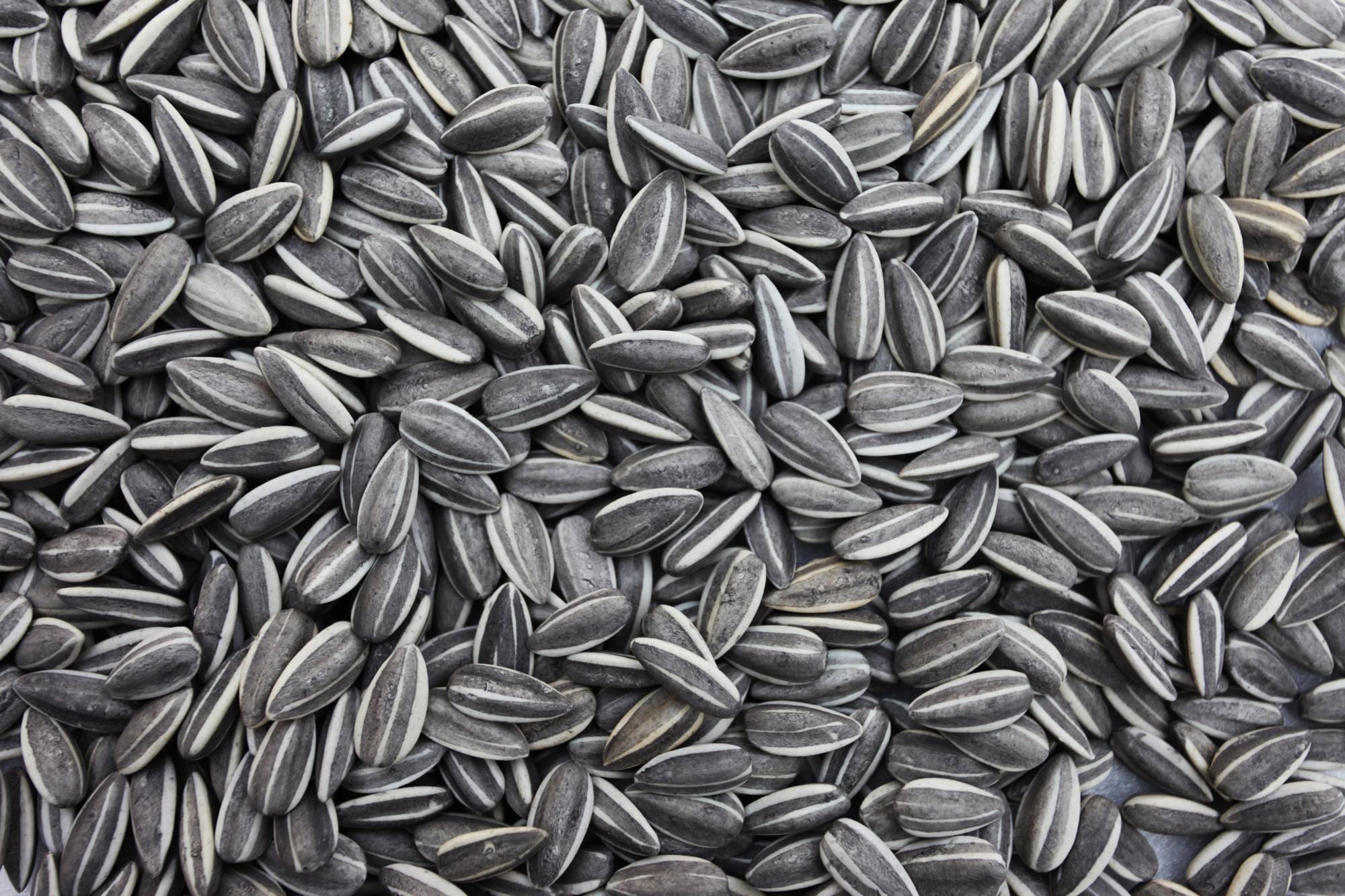 Arquitecturas Cerámicas | Ai Weiwei. Sunflower Seeds