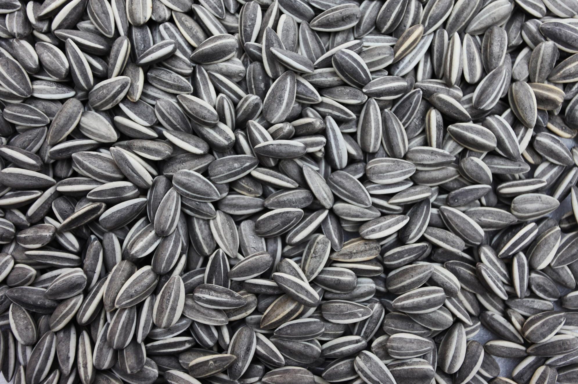 Ai Weiwei. Sunflower Seeds
